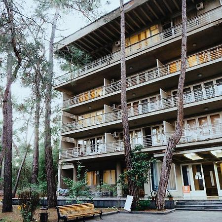 Hôtel Gosdacha Ldzaa à Lidzava Extérieur photo