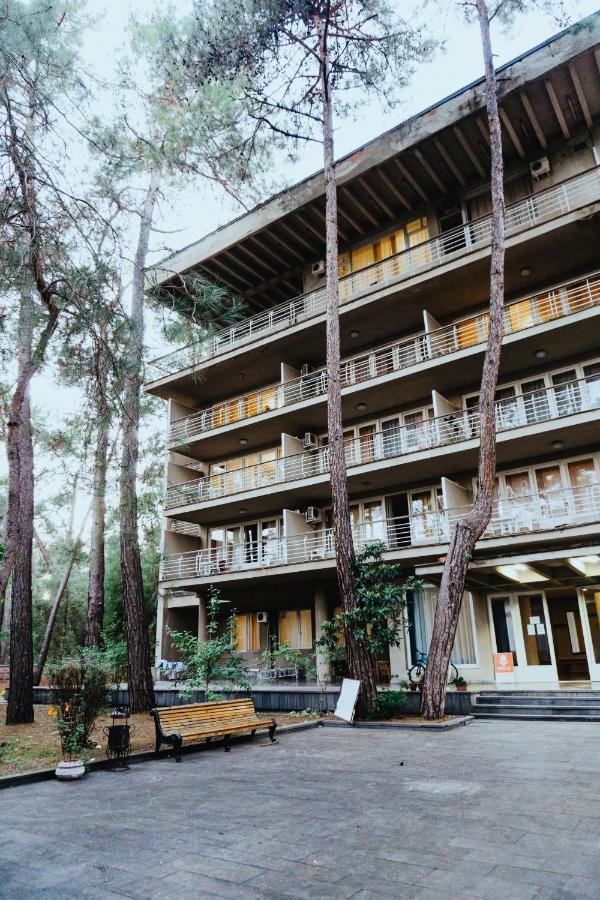Hôtel Gosdacha Ldzaa à Lidzava Extérieur photo